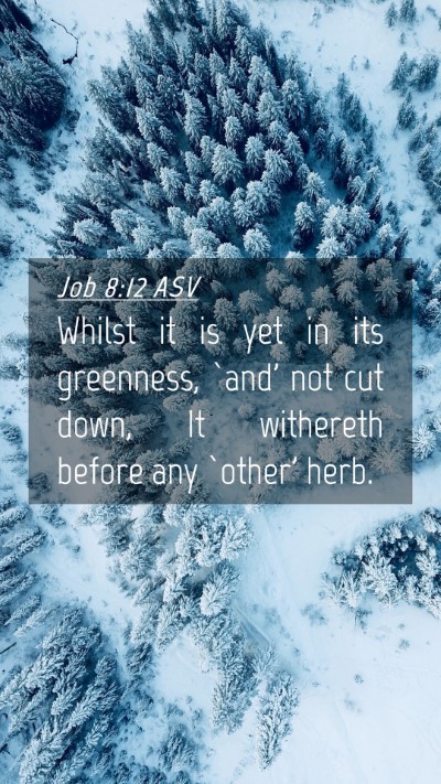 Picture 04 - Job 8:12 ASV Mobile Phone Wallpaper - Whilst it is yet in its greenness, `and' not cut - Mobile Bible Verse Wallpaper
