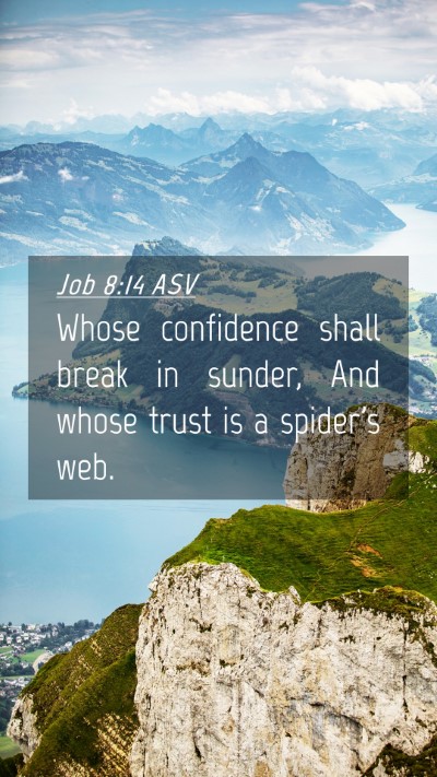 Picture 04 - Job 8:14 ASV Mobile Phone Wallpaper - Whose confidence shall break in sunder, And whose - Mobile Bible Verse Wallpaper