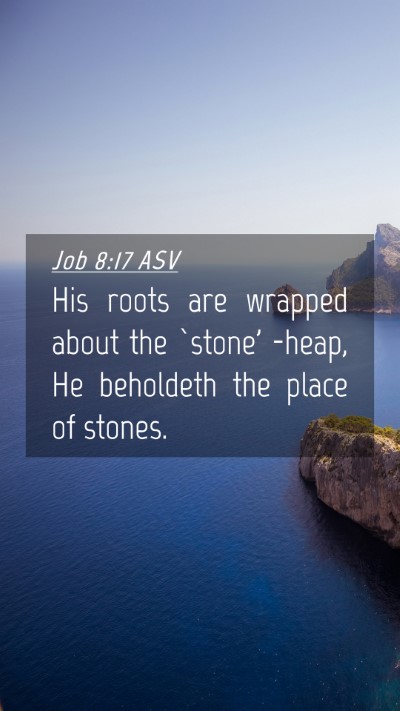 Picture 04 - Job 8:17 ASV Mobile Phone Wallpaper - His roots are wrapped about the `stone' -heap, He - Mobile Bible Verse Wallpaper