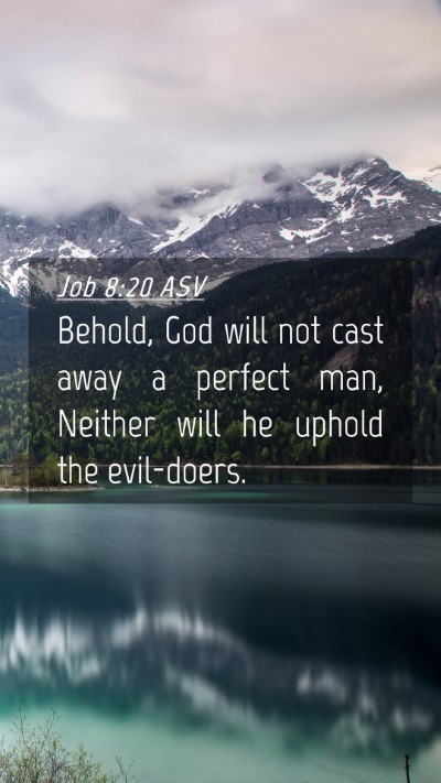 Picture 04 - Job 8:20 ASV Mobile Phone Wallpaper - Behold, God will not cast away a perfect man, - Mobile Bible Verse Wallpaper