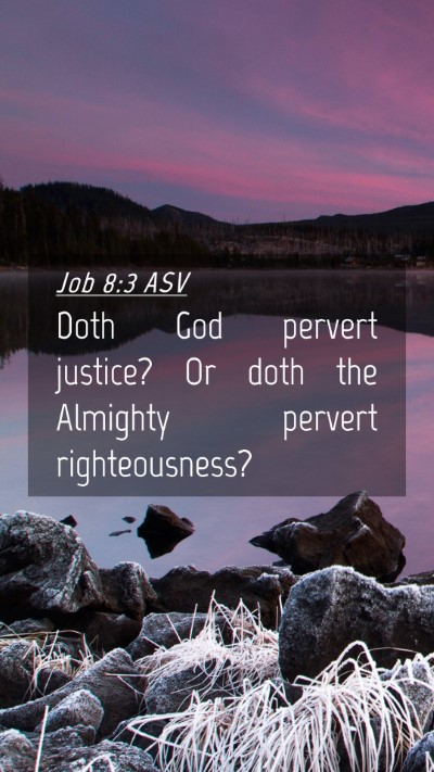 Picture 04 - Job 8:3 ASV Mobile Phone Wallpaper - Doth God pervert justice? Or doth the Almighty - Mobile Bible Verse Wallpaper