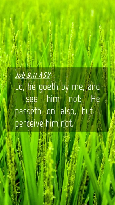 Picture 04 - Job 9:11 ASV Mobile Phone Wallpaper - Lo, he goeth by me, and I see him not: He passeth - Mobile Bible Verse Wallpaper