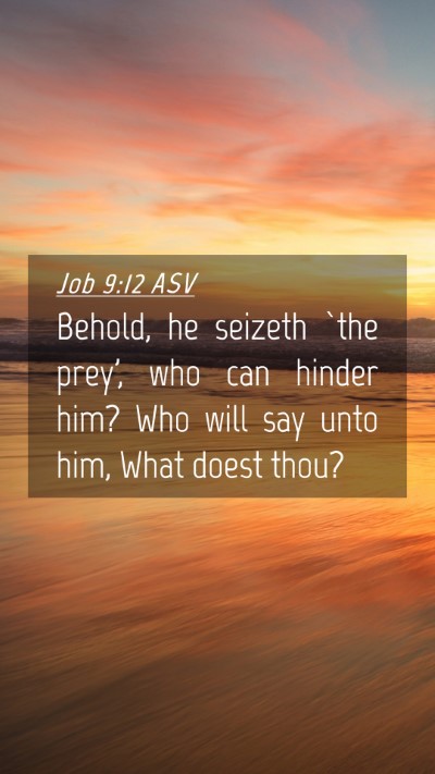 Picture 04 - Job 9:12 ASV Mobile Phone Wallpaper - Behold, he seizeth `the prey', who can hinder - Mobile Bible Verse Wallpaper