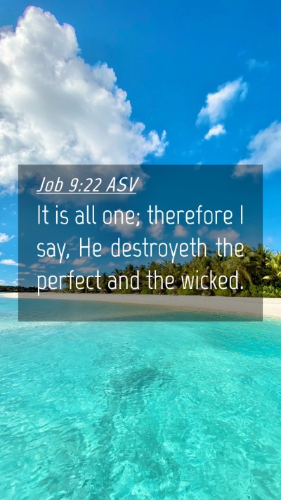Picture 04 - Job 9:22 ASV Mobile Phone Wallpaper - It is all one; therefore I say, He destroyeth the - Mobile Bible Verse Wallpaper