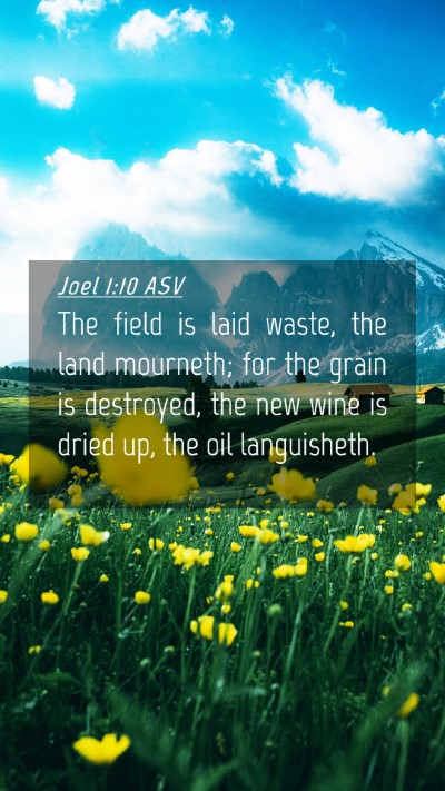 Picture 04 - Joel 1:10 ASV Mobile Phone Wallpaper - The field is laid waste, the land mourneth; for - Mobile Bible Verse Wallpaper
