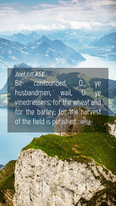 Picture 04 - Joel 1:11 ASV Mobile Phone Wallpaper - Be confounded, O ye husbandmen, wail, O ye - Mobile Bible Verse Wallpaper