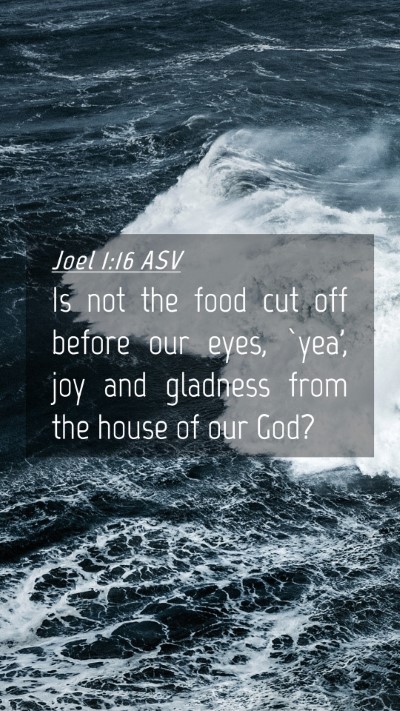 Picture 04 - Joel 1:16 ASV Mobile Phone Wallpaper - Is not the food cut off before our eyes, `yea', - Mobile Bible Verse Wallpaper