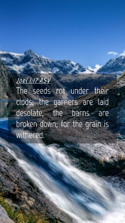 Picture 04 - Joel 1:17 ASV Mobile Phone Wallpaper - The seeds rot under their clods; the garners are - Mobile Bible Verse Wallpaper