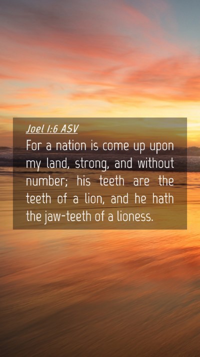 Picture 04 - Joel 1:6 ASV Mobile Phone Wallpaper - For a nation is come up upon my land, strong, and - Mobile Bible Verse Wallpaper