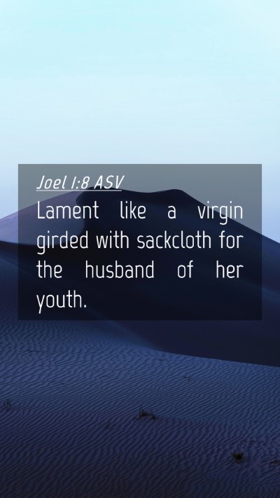 Picture 04 - Joel 1:8 ASV Mobile Phone Wallpaper - Lament like a virgin girded with sackcloth for - Mobile Bible Verse Wallpaper