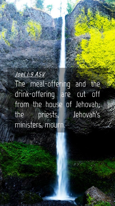 Picture 04 - Joel 1:9 ASV Mobile Phone Wallpaper - The meal-offering and the drink-offering are cut - Mobile Bible Verse Wallpaper