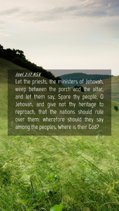 Picture 04 - Joel 2:17 ASV Mobile Phone Wallpaper - Let the priests, the ministers of Jehovah, weep - Mobile Bible Verse Wallpaper
