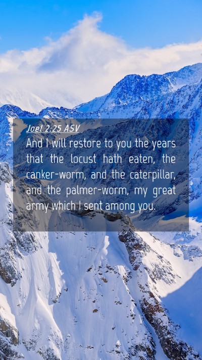 Picture 04 - Joel 2:25 ASV Mobile Phone Wallpaper - And I will restore to you the years that the - Mobile Bible Verse Wallpaper