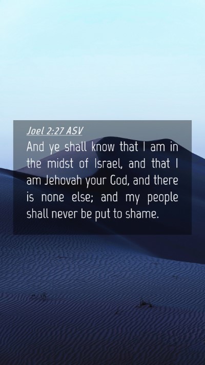 Picture 04 - Joel 2:27 ASV Mobile Phone Wallpaper - And ye shall know that I am in the midst of - Mobile Bible Verse Wallpaper
