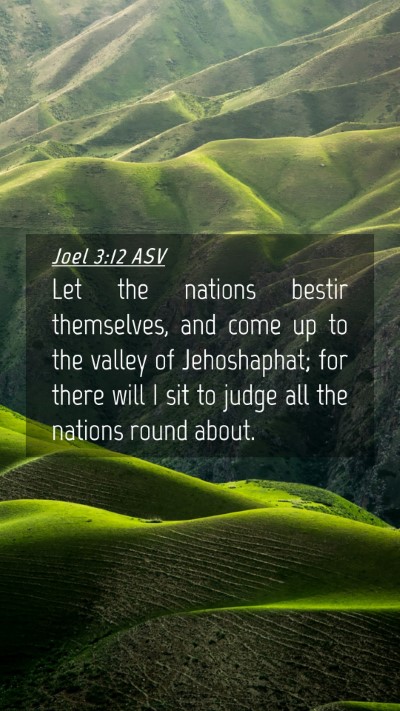 Picture 04 - Joel 3:12 ASV Mobile Phone Wallpaper - Let the nations bestir themselves, and come up to - Mobile Bible Verse Wallpaper