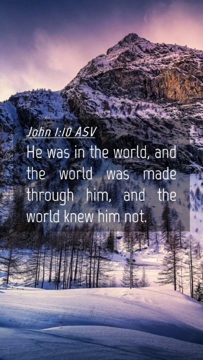 Picture 04 - John 1:10 ASV Mobile Phone Wallpaper - He was in the world, and the world was made - Mobile Bible Verse Wallpaper