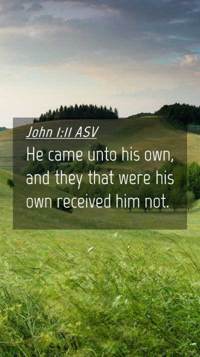 Picture 04 - John 1:11 ASV Mobile Phone Wallpaper - He came unto his own, and they that were his own - Mobile Bible Verse Wallpaper