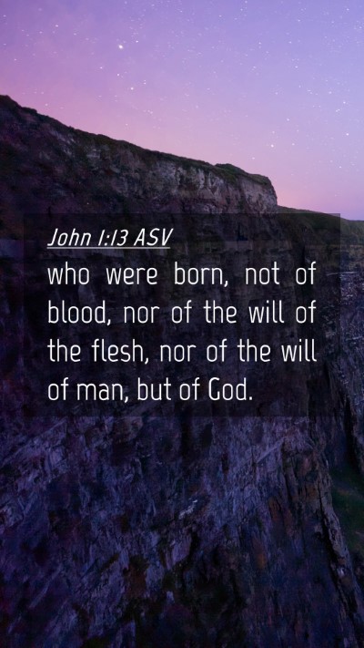Picture 04 - John 1:13 ASV Mobile Phone Wallpaper - who were born, not of blood, nor of the will of - Mobile Bible Verse Wallpaper