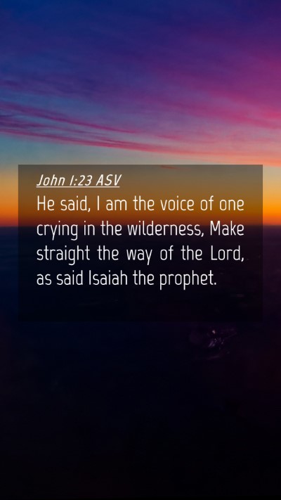 Picture 04 - John 1:23 ASV Mobile Phone Wallpaper - He said, I am the voice of one crying in the - Mobile Bible Verse Wallpaper