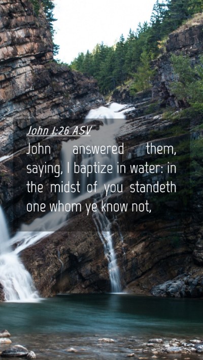 Picture 04 - John 1:26 ASV Mobile Phone Wallpaper - John answered them, saying, I baptize in water: - Mobile Bible Verse Wallpaper