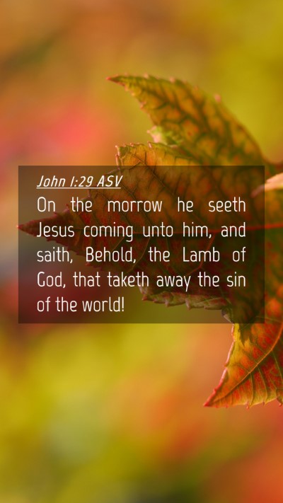 Picture 04 - John 1:29 ASV Mobile Phone Wallpaper - On the morrow he seeth Jesus coming unto him, and - Mobile Bible Verse Wallpaper