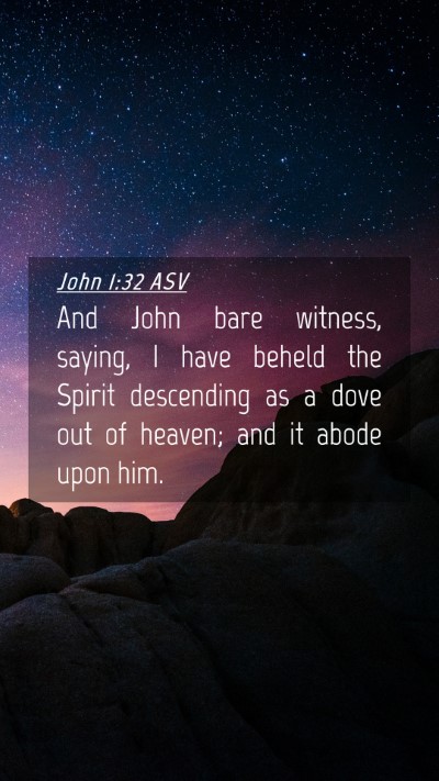 Picture 04 - John 1:32 ASV Mobile Phone Wallpaper - And John bare witness, saying, I have beheld the - Mobile Bible Verse Wallpaper
