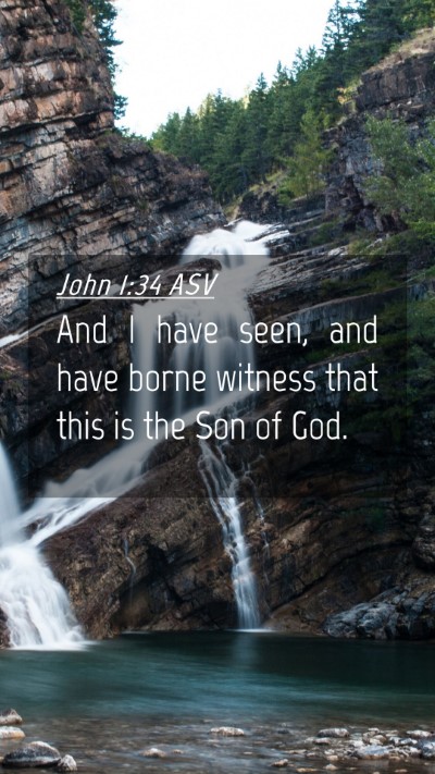 Picture 04 - John 1:34 ASV Mobile Phone Wallpaper - And I have seen, and have borne witness that this - Mobile Bible Verse Wallpaper