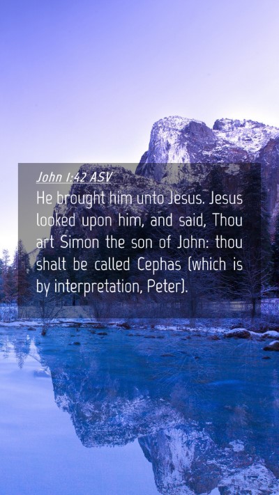 Picture 04 - John 1:42 ASV Mobile Phone Wallpaper - He brought him unto Jesus. Jesus looked upon him, - Mobile Bible Verse Wallpaper