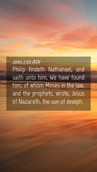 Picture 04 - John 1:45 ASV Mobile Phone Wallpaper - Philip findeth Nathanael, and saith unto him, We - Mobile Bible Verse Wallpaper