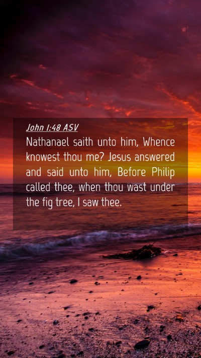 Picture 04 - John 1:48 ASV Mobile Phone Wallpaper - Nathanael saith unto him, Whence knowest thou me? - Mobile Bible Verse Wallpaper