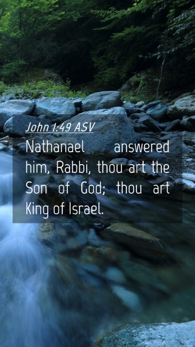 Picture 04 - John 1:49 ASV Mobile Phone Wallpaper - Nathanael answered him, Rabbi, thou art the Son - Mobile Bible Verse Wallpaper