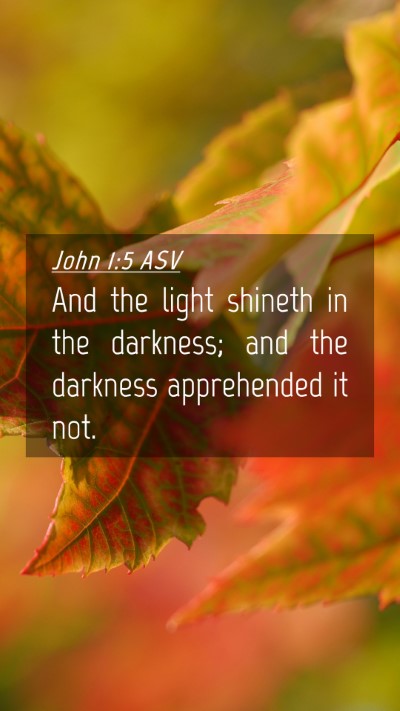 Picture 04 - John 1:5 ASV Mobile Phone Wallpaper - And the light shineth in the darkness; and the - Mobile Bible Verse Wallpaper