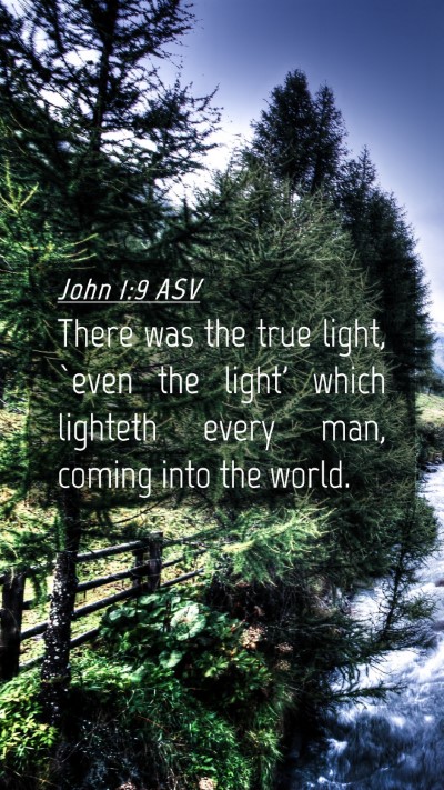 Picture 04 - John 1:9 ASV Mobile Phone Wallpaper - There was the true light, `even the light' which - Mobile Bible Verse Wallpaper