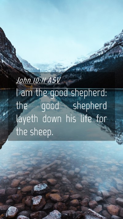 Picture 04 - John 10:11 ASV Mobile Phone Wallpaper - I am the good shepherd: the good shepherd layeth - Mobile Bible Verse Wallpaper