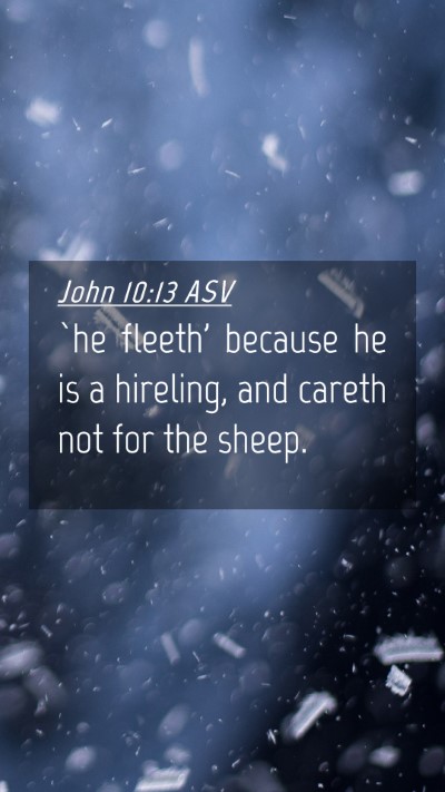 Picture 04 - John 10:13 ASV Mobile Phone Wallpaper - `he fleeth' because he is a hireling, and careth - Mobile Bible Verse Wallpaper