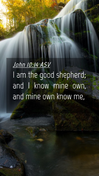 Picture 04 - John 10:14 ASV Mobile Phone Wallpaper - I am the good shepherd; and I know mine own, and - Mobile Bible Verse Wallpaper