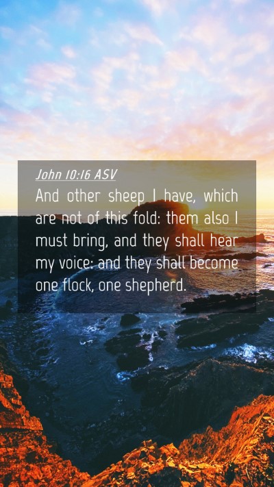 Picture 04 - John 10:16 ASV Mobile Phone Wallpaper - And other sheep I have, which are not of this - Mobile Bible Verse Wallpaper
