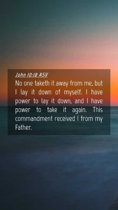 Picture 04 - John 10:18 ASV Mobile Phone Wallpaper - No one taketh it away from me, but I lay it down - Mobile Bible Verse Wallpaper