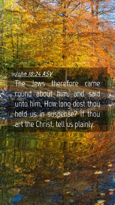 Picture 04 - John 10:24 ASV Mobile Phone Wallpaper - The Jews therefore came round about him, and said - Mobile Bible Verse Wallpaper
