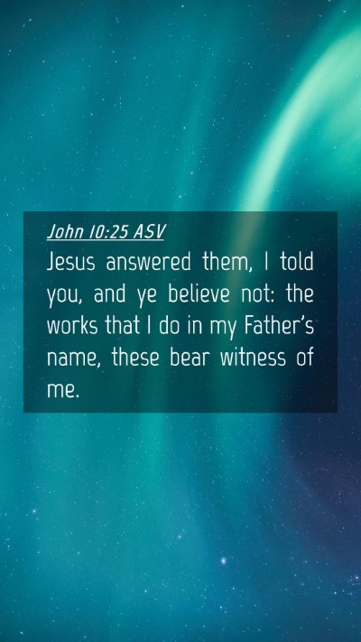 Picture 04 - John 10:25 ASV Mobile Phone Wallpaper - Jesus answered them, I told you, and ye believe - Mobile Bible Verse Wallpaper