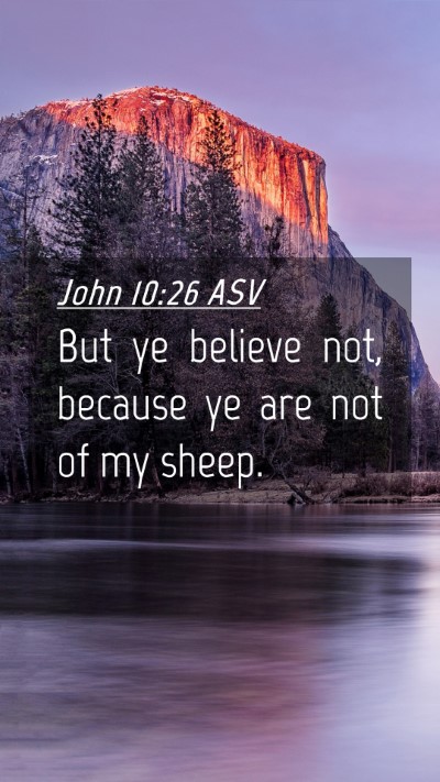 Picture 04 - John 10:26 ASV Mobile Phone Wallpaper - But ye believe not, because ye are not of my - Mobile Bible Verse Wallpaper