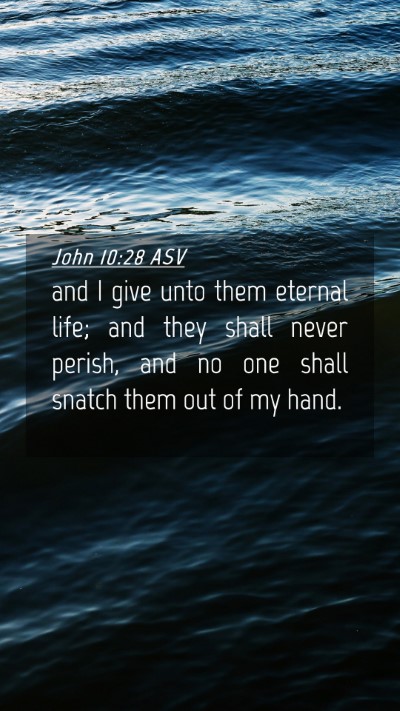 Picture 04 - John 10:28 ASV Mobile Phone Wallpaper - and I give unto them eternal life; and they shall - Mobile Bible Verse Wallpaper