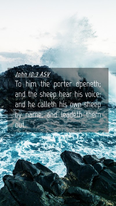 Picture 04 - John 10:3 ASV Mobile Phone Wallpaper - To him the porter openeth; and the sheep hear his - Mobile Bible Verse Wallpaper
