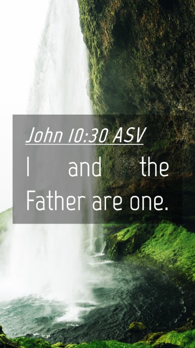 Picture 04 - John 10:30 ASV Mobile Phone Wallpaper - I and the Father are - Mobile Bible Verse Wallpaper