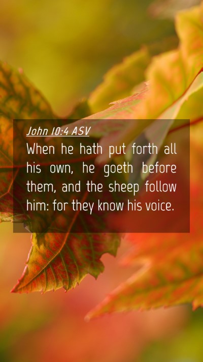 Picture 04 - John 10:4 ASV Mobile Phone Wallpaper - When he hath put forth all his own, he goeth - Mobile Bible Verse Wallpaper