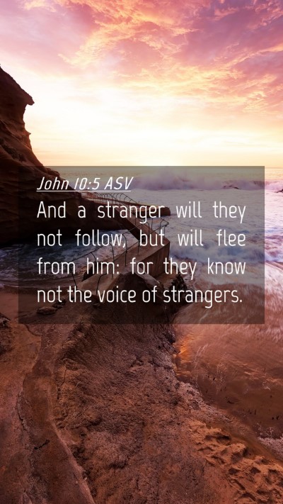 Picture 04 - John 10:5 ASV Mobile Phone Wallpaper - And a stranger will they not follow, but will - Mobile Bible Verse Wallpaper