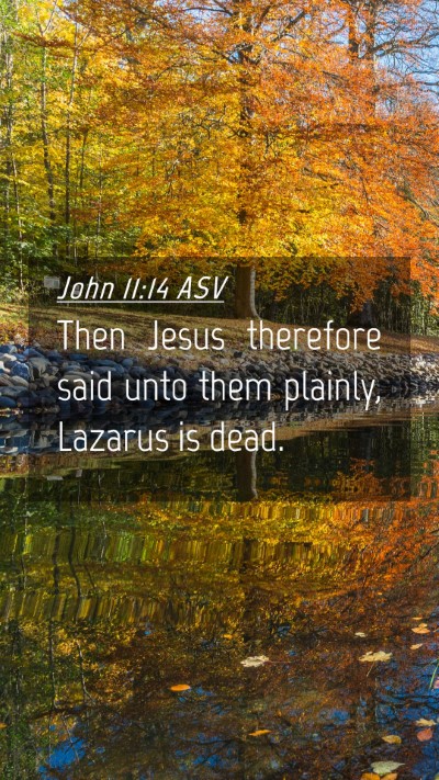 Picture 04 - John 11:14 ASV Mobile Phone Wallpaper - Then Jesus therefore said unto them plainly, - Mobile Bible Verse Wallpaper