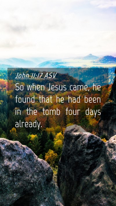 Picture 04 - John 11:17 ASV Mobile Phone Wallpaper - So when Jesus came, he found that he had been in - Mobile Bible Verse Wallpaper