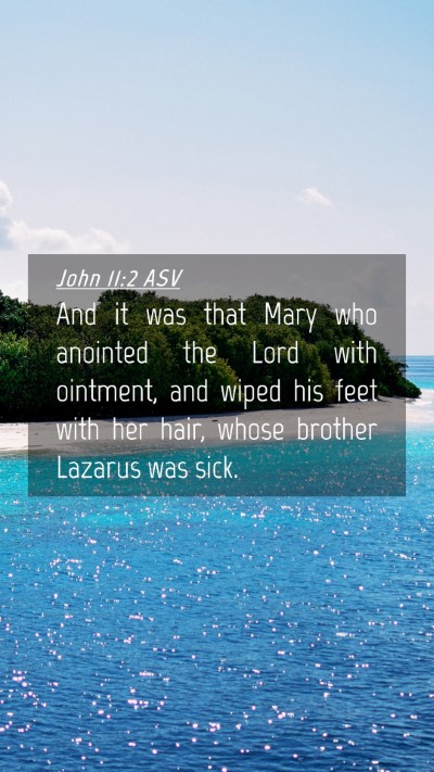 Picture 04 - John 11:2 ASV Mobile Phone Wallpaper - And it was that Mary who anointed the Lord with - Mobile Bible Verse Wallpaper