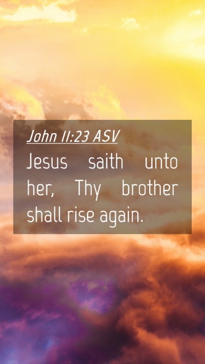 Picture 04 - John 11:23 ASV Mobile Phone Wallpaper - Jesus saith unto her, Thy brother shall rise - Mobile Bible Verse Wallpaper